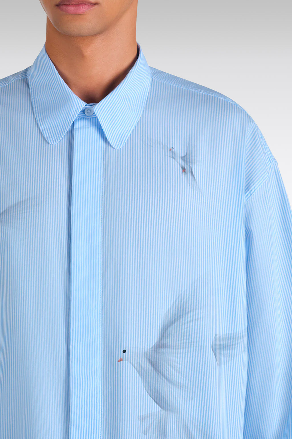 alt-image__Camicia-in-cotone-a-righe-bianco-e-celeste-con-stampa-digitale---Freedom-Doves-Button-Shirt